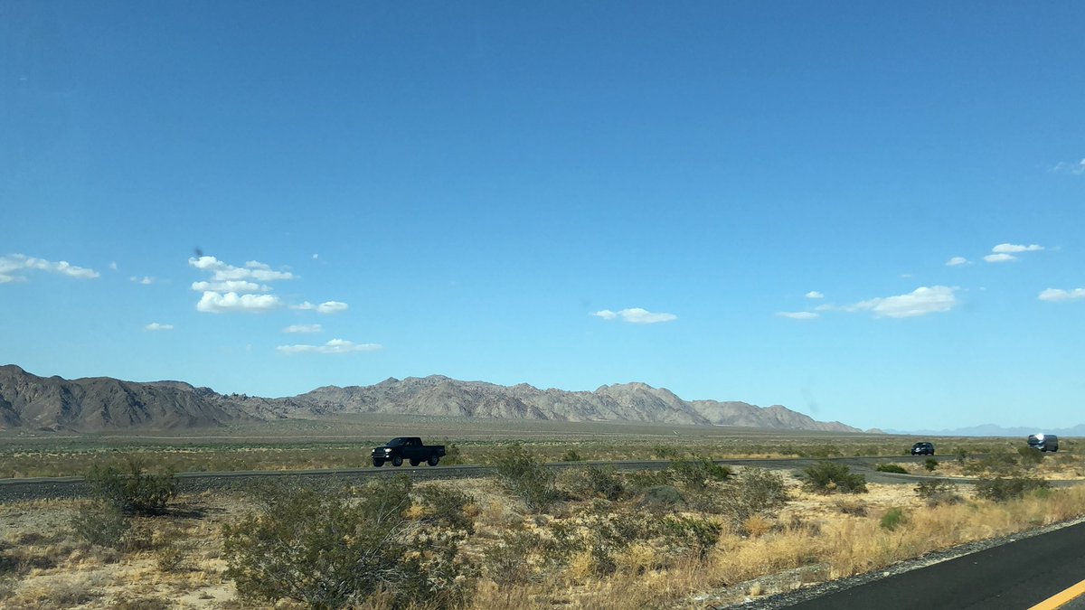 Allegra Bargnesi tweet media