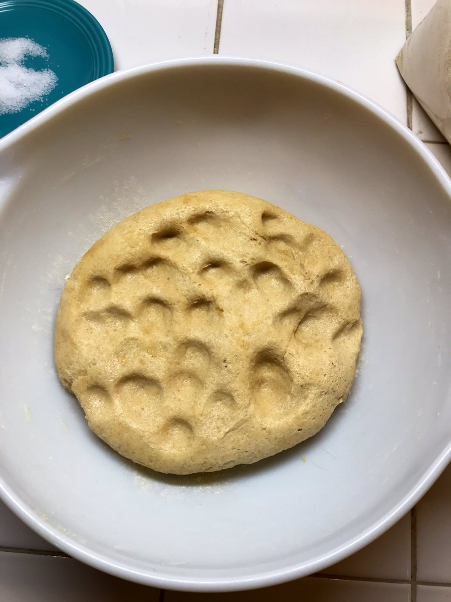 Pick up your dough ball, and put it upside down (oily side up) into the big bowl with the dusting of flour on the bottom. Make some dents in the top with your fingers. These will help hold the salt.