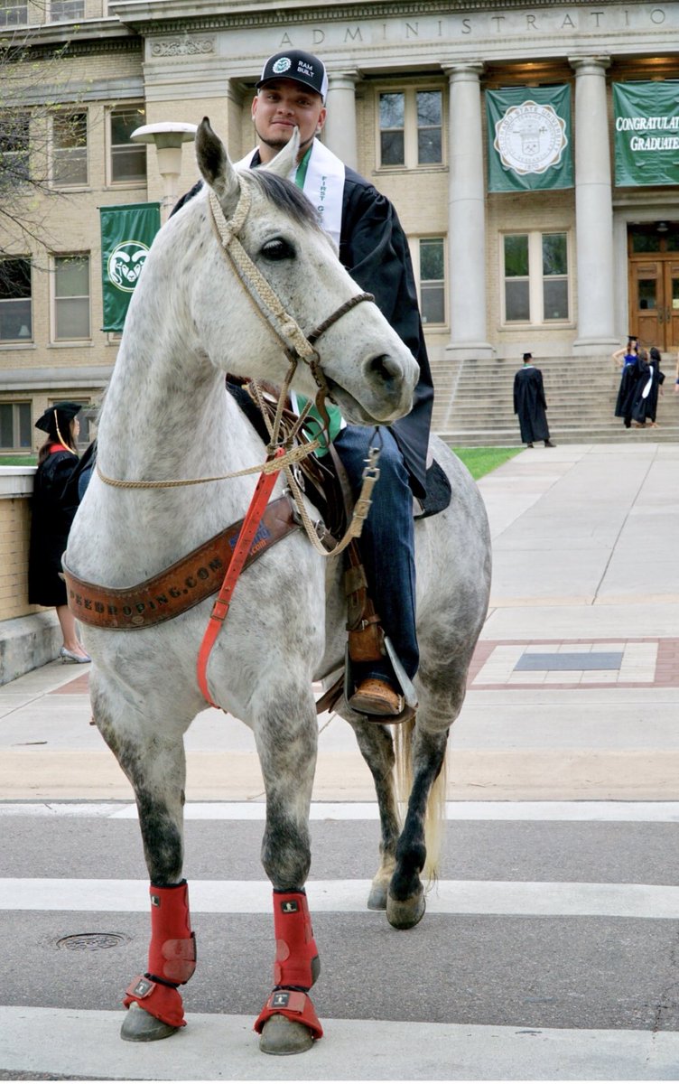 jroper1515's tweet photo. Some horses will test you, some will teach you, some will bring out the best in you. This guy did it all #blessed #wegraduated #schoolofhardknock https://t.co/HGJumDd1oq