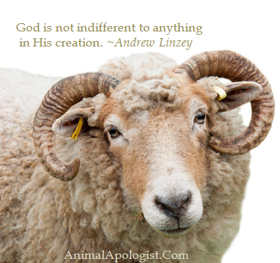 A God of love and goodness cannot be okay with the cruelty, oppression  and exploitation of animals by human beings (who are supposed to reflect  love toward the things of God).  #ReturnToEden #Repent #KingdomofGod #GardenofEdenDiet #TempleoftheHolySpirit