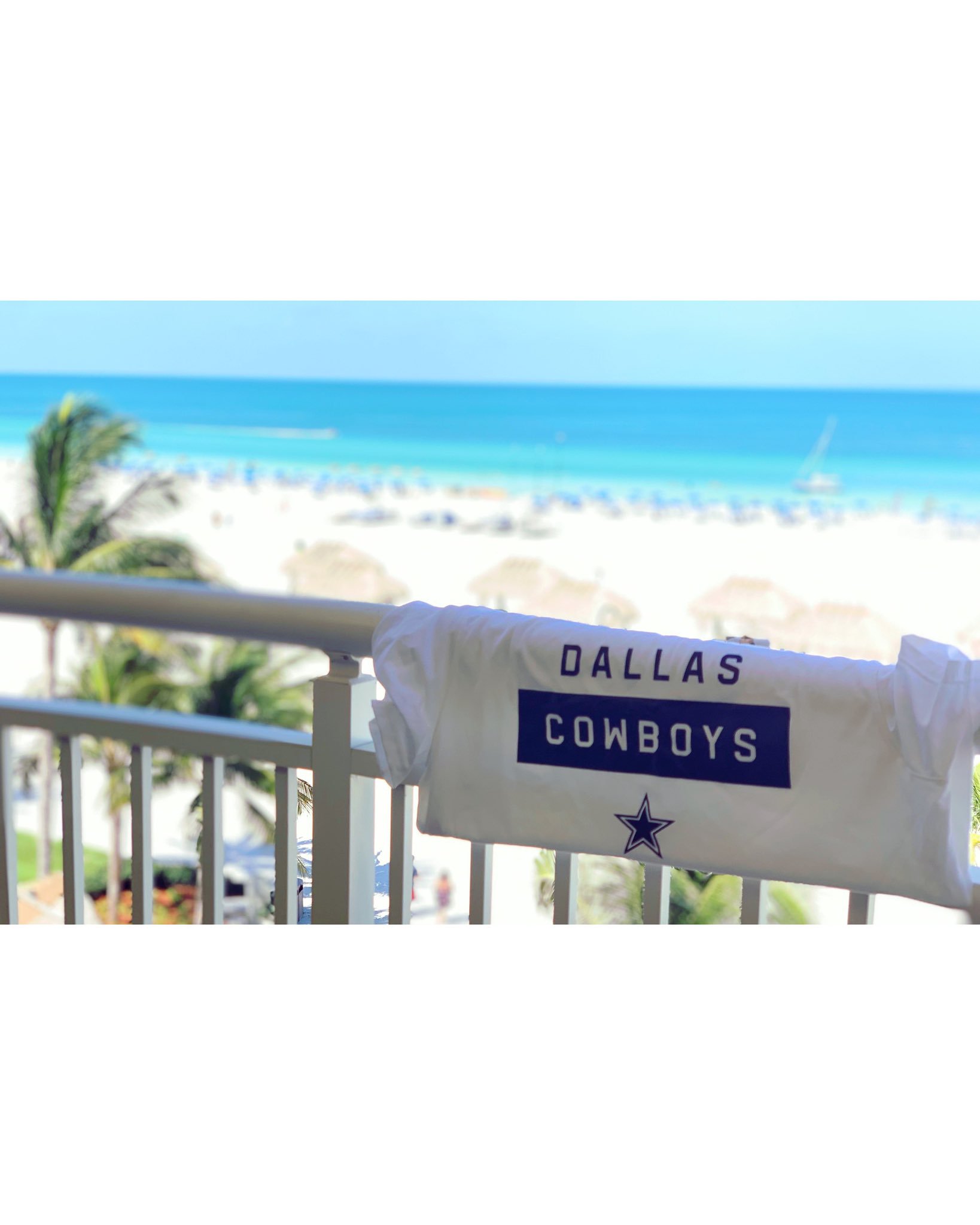 Dog pooping on dallas cowboys bed cheap