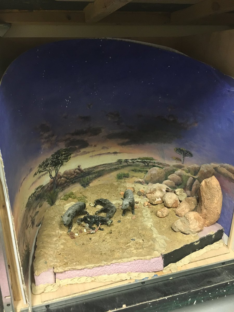 MEMIllustration's tweet photo. Seeing the new hyena diorama at the @FieldMuseum brought me to tears. Thank you @Ehmee for breathing life into the powerful art of diorama fabrication. It gives me hope for the future of natural history museums. #sciart #diorama #museums https://t.co/rNft7xOU7A