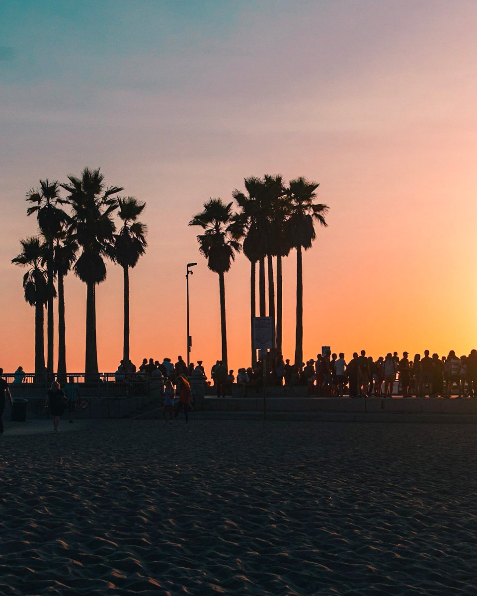 #VeniceBeach #LosAngeles #Colorful #Sunset #LosAngelesDot #Summer #Beach #CaliInviteYou #FollowThePalms #HugAPalmtree #PalmTrees #BeachDay #LA #Nikon #D5300 #35mm #Photography