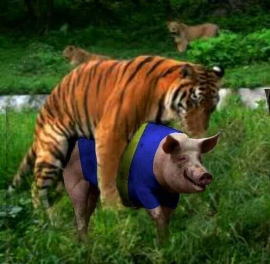 Sebam88's tweet image. 