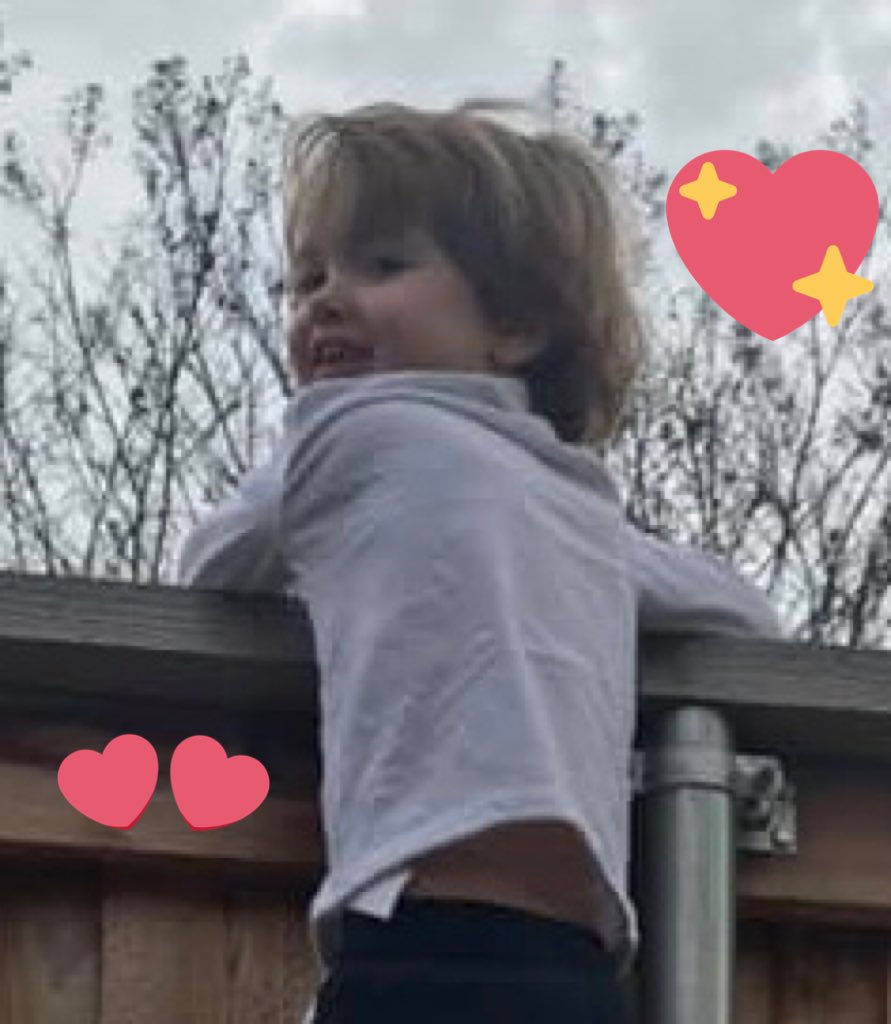 LeighAtTheBEACH's tweet photo. Hmmm... grandsons! #helovestoclimb #gottaloveit https://t.co/LC8A8WtmTo