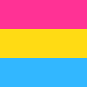 A quick thread on pansexuality for  #PrideMonth