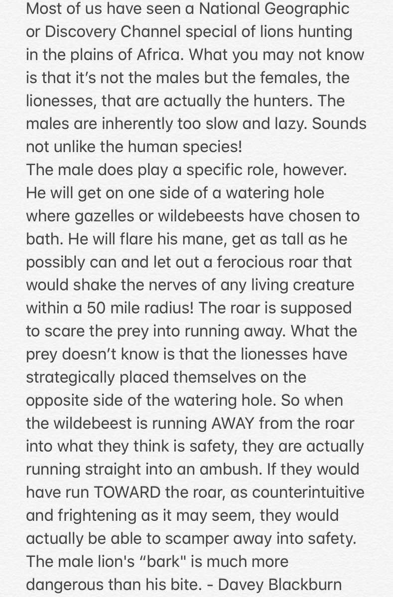 Kaitlyn Cunningham tweet media