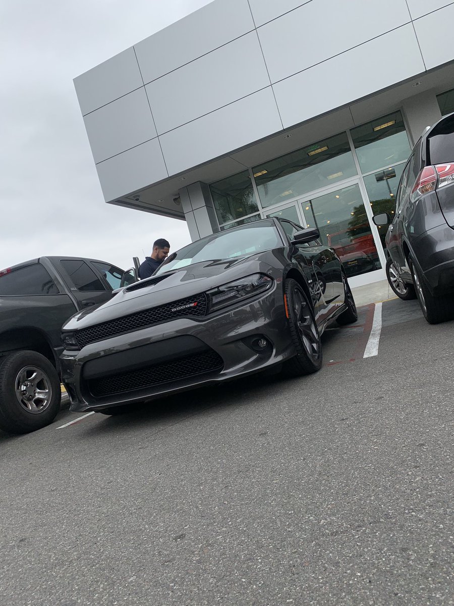 2810Brian's tweet photo. Welcome home babygirl🦍🚀🚀 when u put ur mind to some shit, make sacrifices, and work hard things are possible 🤩💪🏼 https://t.co/sF2l7s5zfy