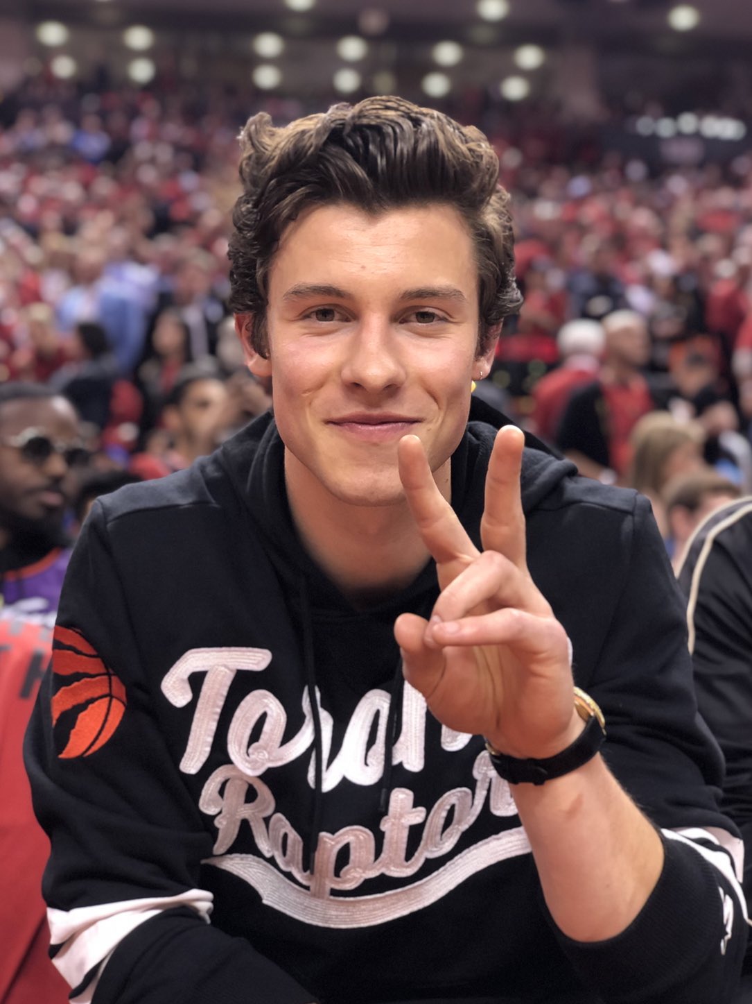 shawn mendes raptors hoodie