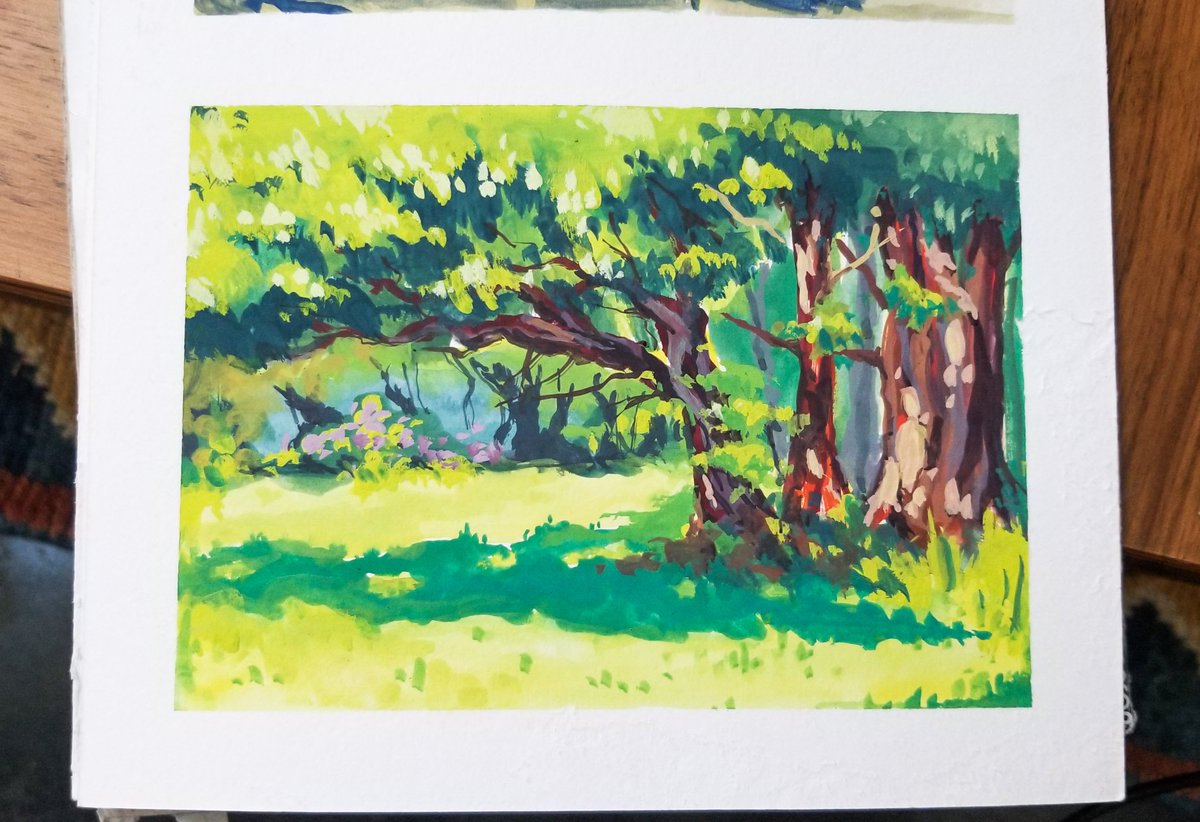 SmashyNick's tweet image. Chillin at the Ballard locks 😊