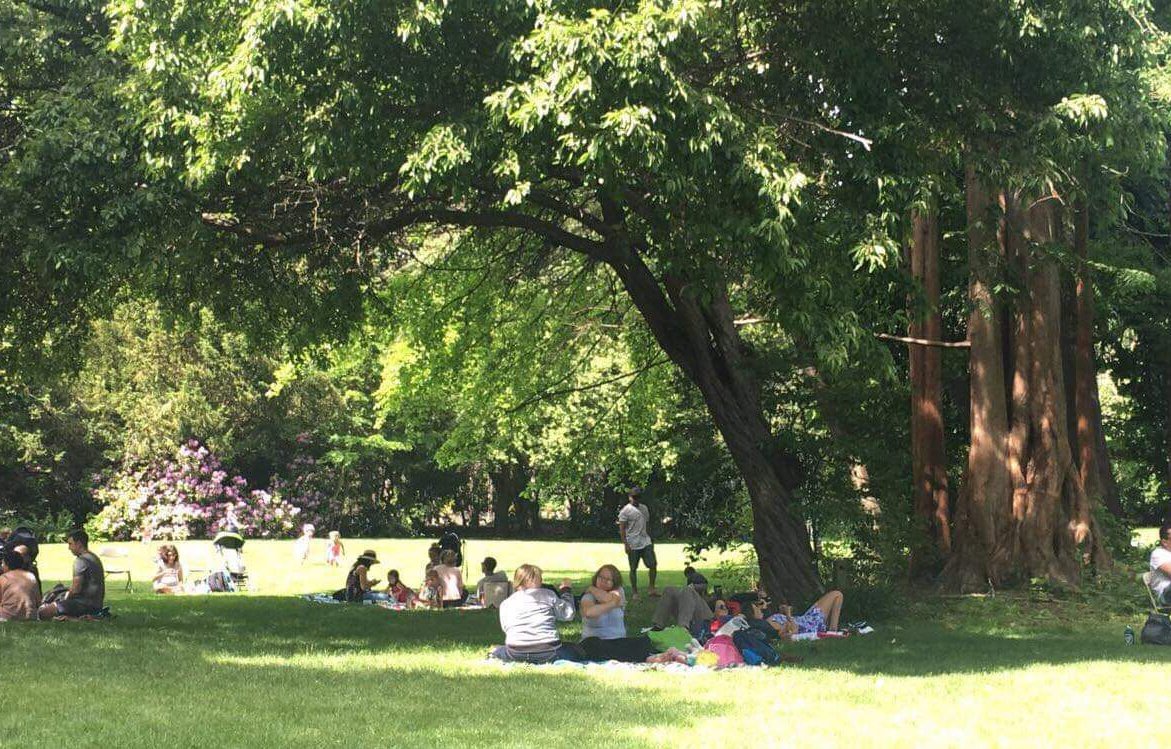 SmashyNick's tweet image. Chillin at the Ballard locks 😊
