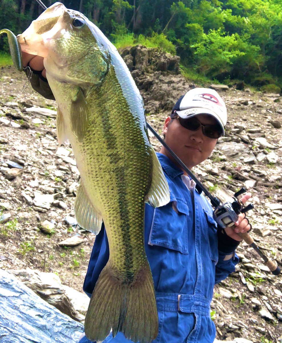BigboofKeisuke's tweet photo. アフターの魚にはドライブスティックのフォールが効く❗️
ノーシンカーでボディーをくねらせながらフォールさせるのは、泳ぐ力が無くなった死にかけの小魚が沈んでいくイメージ👍
もはやエサ😆✨
#OSP #ドライブスティック #DoLiveStick #DAIWA https://t.co/cDsG5b9scU