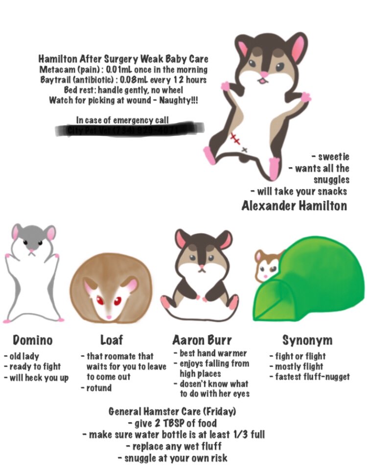 genometric_art's tweet photo. When you own too many hamsters to verbalize them to the ham-sitter:
#5hamhousehold #fluffnuggets #hamiltonisnaughty https://t.co/49YfaUZgz6