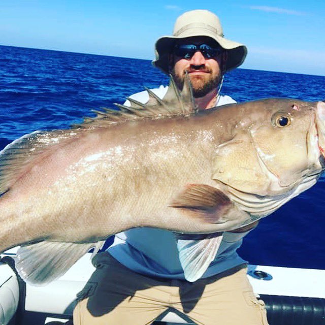 firedupcharters's tweet photo. #deepdrop #grouper #fishing #portcanaveral #cocoabeach https://t.co/ppa6BEiszO https://t.co/uoV5yJMKmA