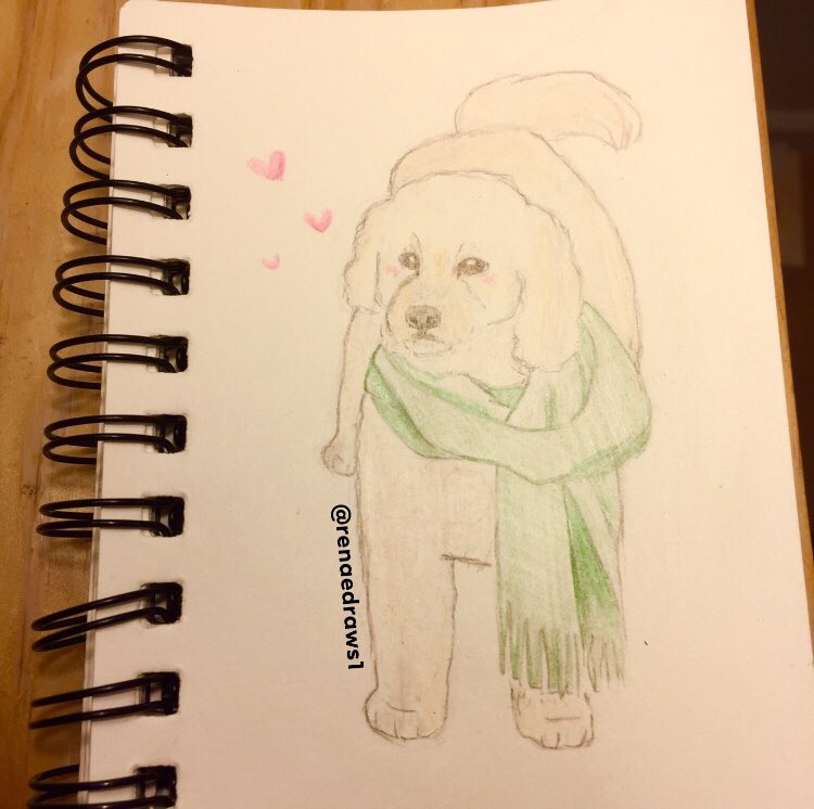 renaedraws1's tweet photo. (my) sassy fur child https://t.co/32XjiIQm0o