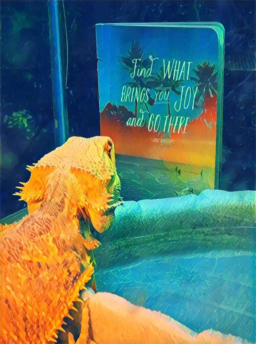 crazybookwoman's tweet photo. He wanted a book to take him places he couldn’t get to himself #SummerReading #librarylizard #LTESummerselfiebingo2019 @frankhousera1 https://t.co/e6Znu6jXzQ