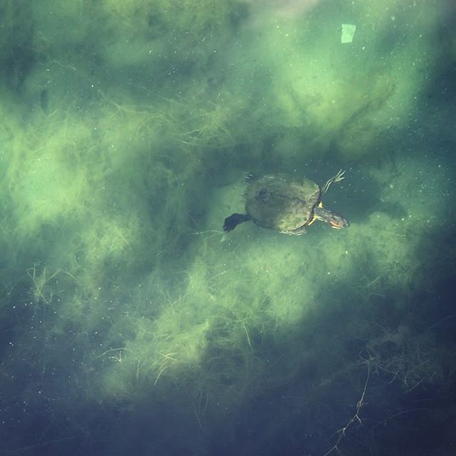 Watch #Instavideo:bit.ly/2MqDS3t