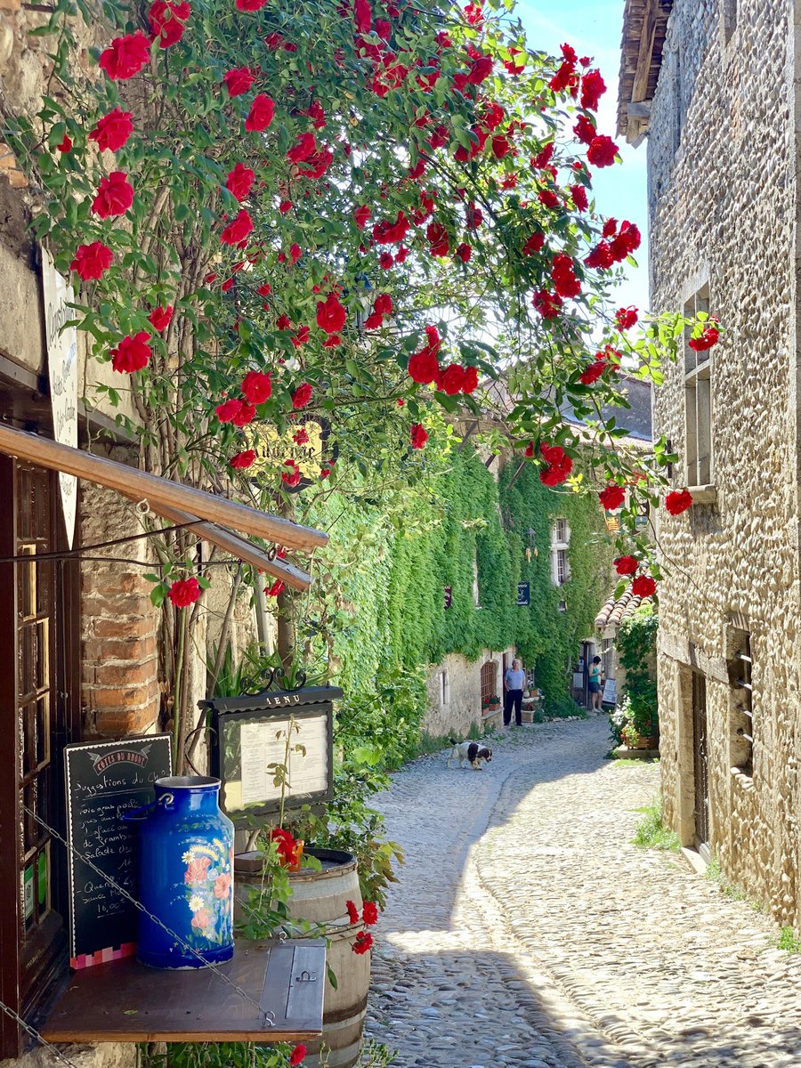 TeamBallet's tweet photo. Je vous souhaite un joli  #LundiFleuri dans les rues de la belle #Pérouges @OTPerouges https://t.co/ozwnZ1FgYg