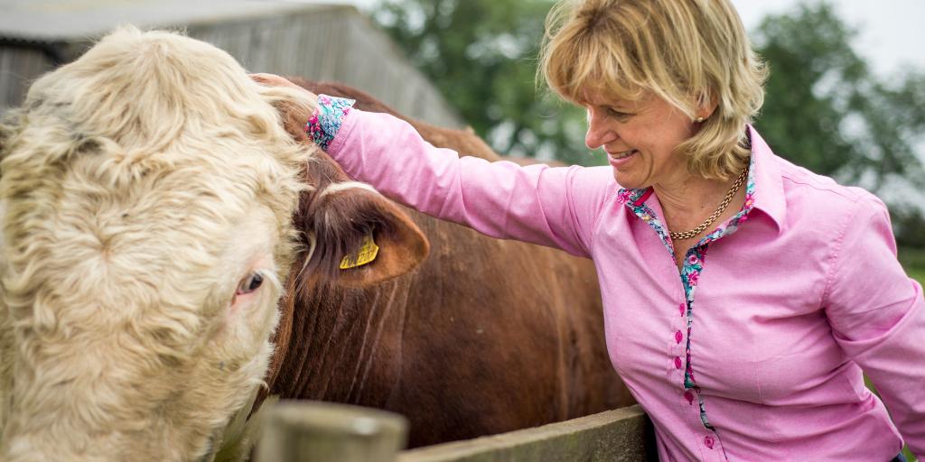 BREAKING: We’re urging the UK Government not to betray British farmings unrivalled #food standards in any future #tradedeal with the US ow.ly/ogLe50uv0m8 #BackBritishFarming #TrumpUKVisit