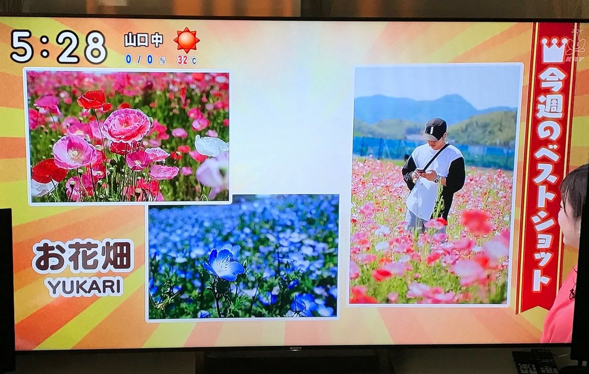 81 95 8f E5 90 E6 8e B2 E7 Ba E6 9d Bf Twitter Search