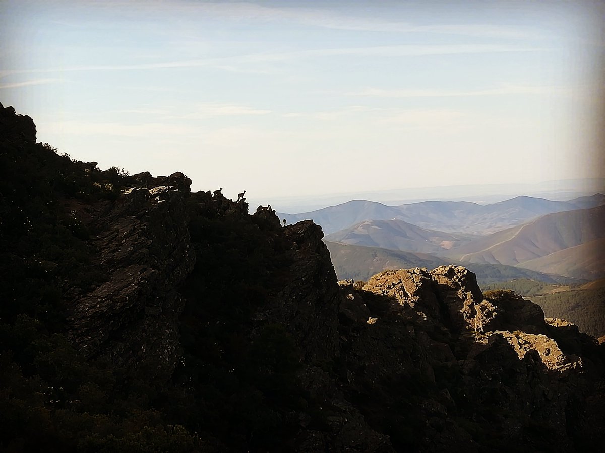 Qué lástima no poder mostrar en una imagen una verdadera experiencia..#lashurdesterritoriotrail #9JunioLadrillar @DXTextremadura @fexme_oficial <a href="/AlimentosdeExtr/">AlimentosExtremadura</a> @tu_crono