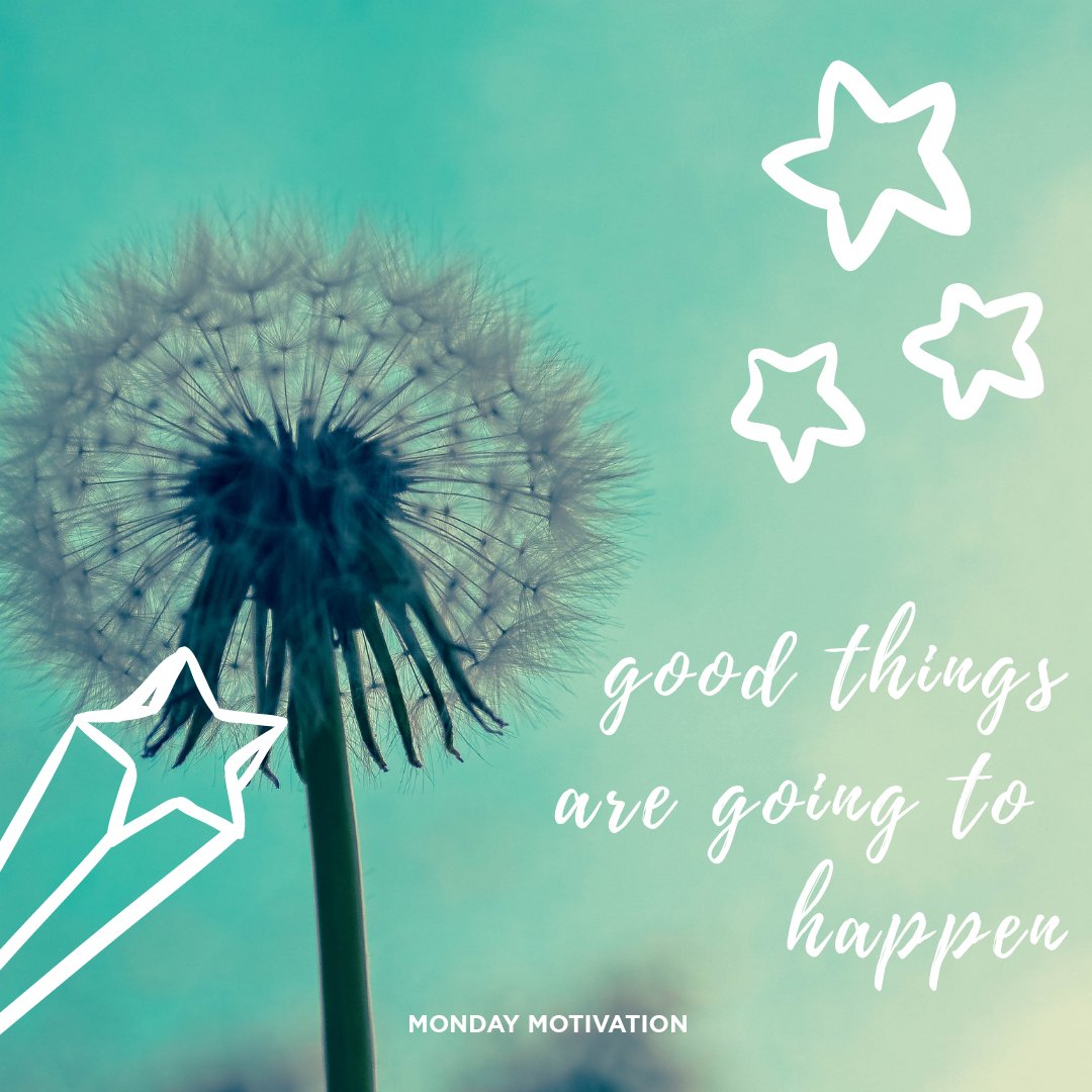 HelloFastwalker's tweet image. All good vibes here 😎 

#MondayMotivation #newweek