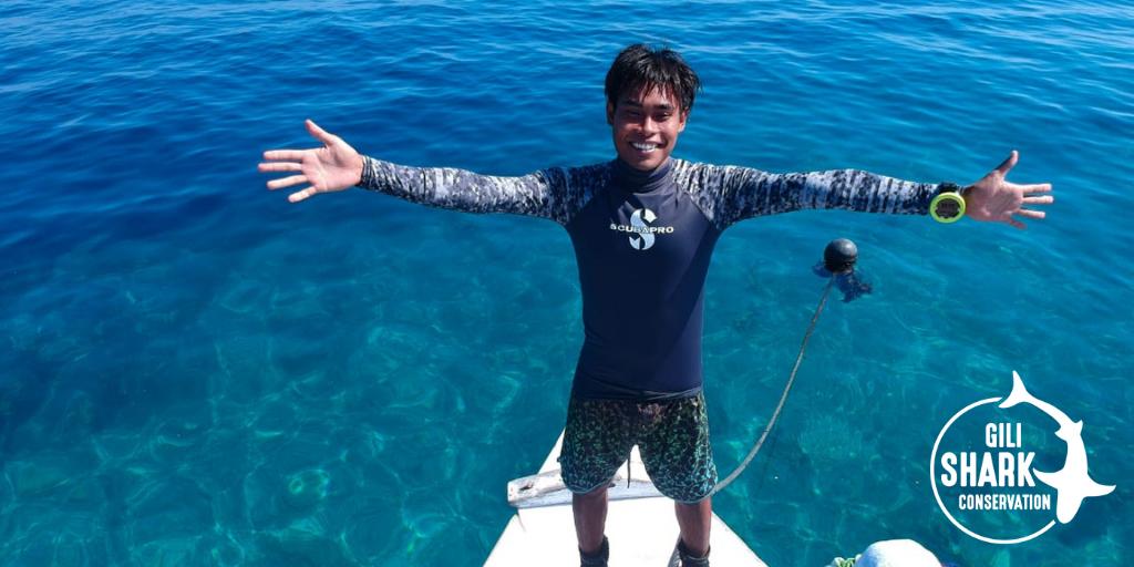 Gili Shark Conservation tweet media