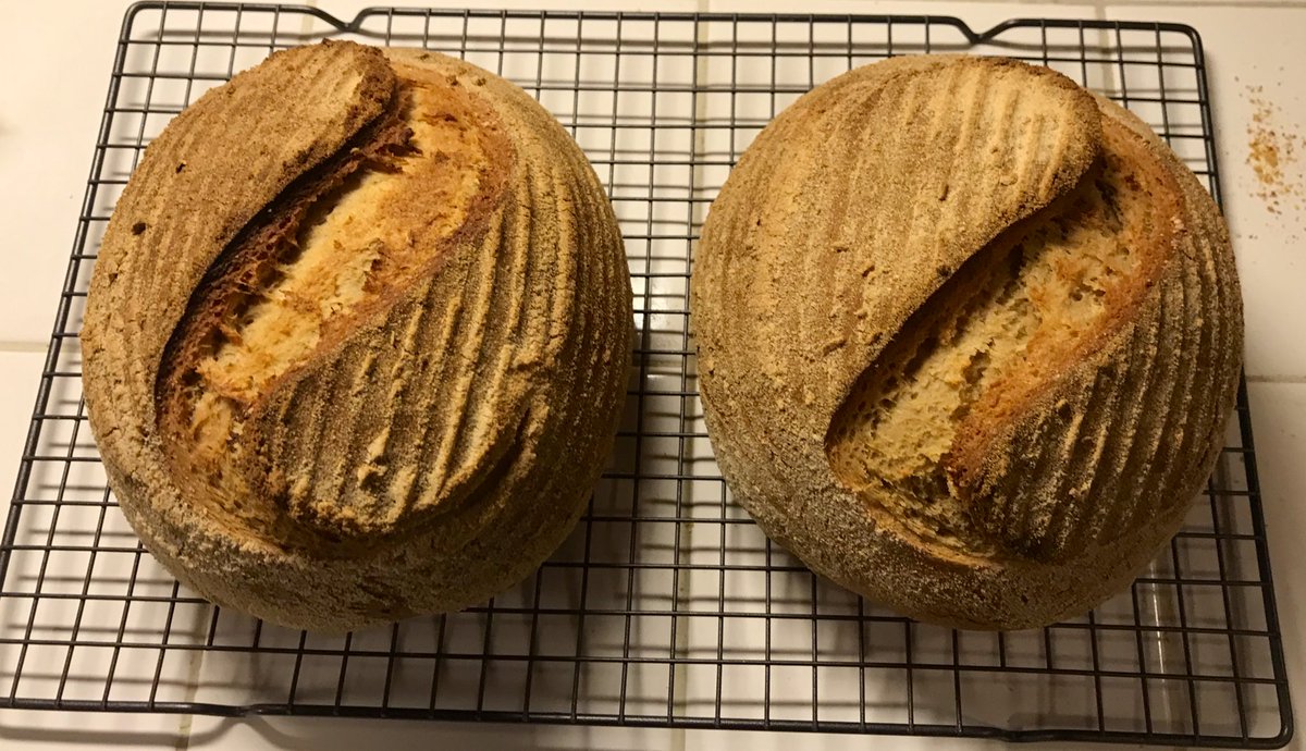 When the timer goes, have a look! Here’s what we got here tonight! REMEMBER TO TURN THE OVEN OFF. I move the loaves to a cooling rack, because drying is as important as cooling. DO NOT CUT THEM FOR 25 MINUTES no matter how curious you are. It’s NOT BREAD YET! 
