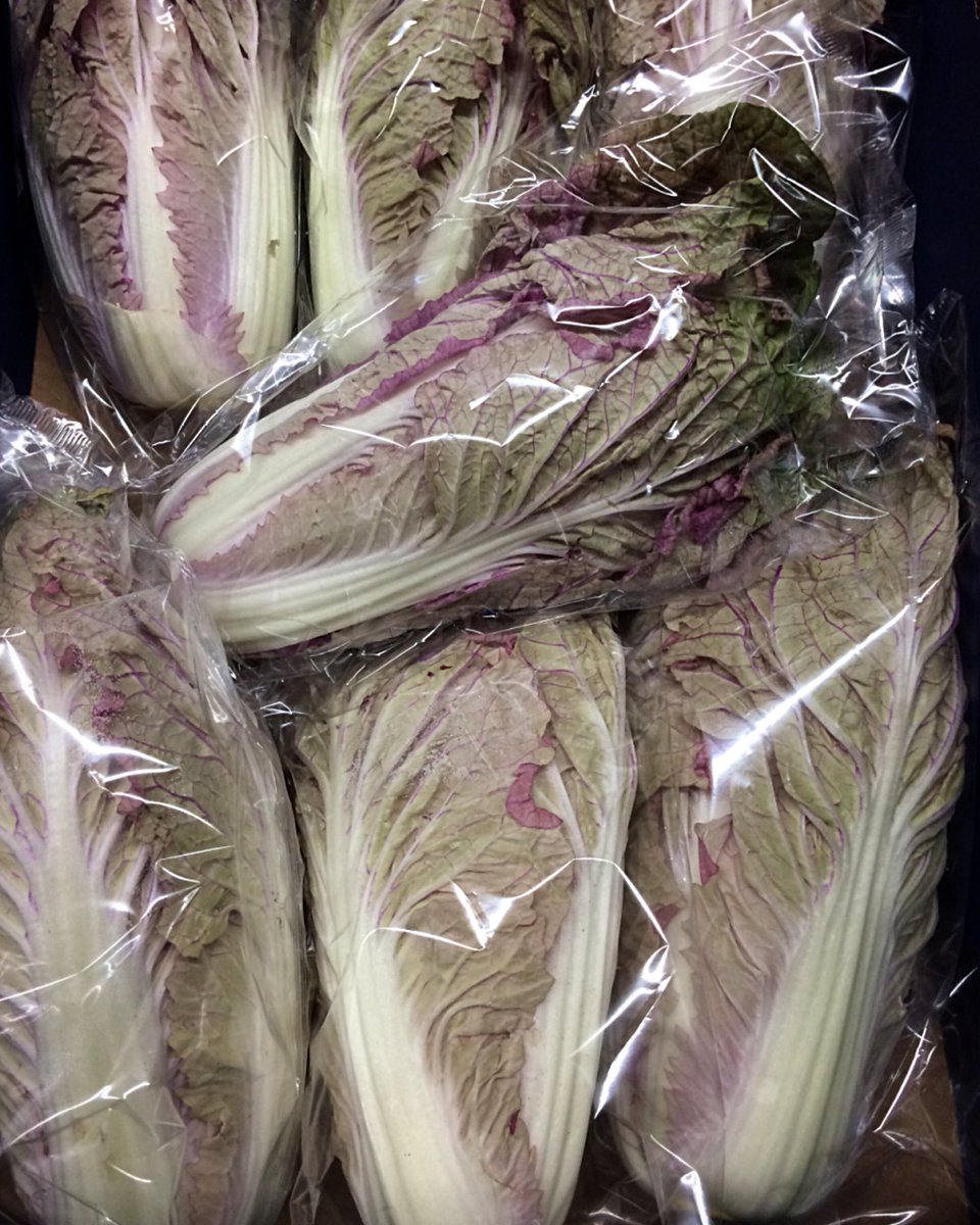 FrenchGardenBr's tweet photo. For something a little different we have this Pink Chinese Leaf available this morning #chineseleaf #pink #lettuce #salad #wholesalers #bristolmarket #fgb https://t.co/Xa5pSeLBh3