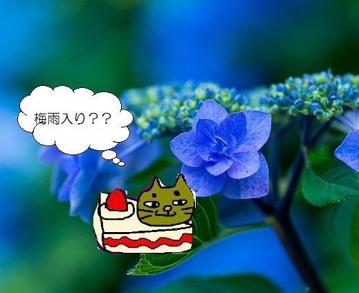 kusuhana's tweet photo. ６月に入り、東京もいよいよ梅雨入り間近？？雨でお出かけできない日は保険薬事典のアンケートに回答しませんか。https://t.co/d7Y16boXnf
#保険薬事典Plus #アンケート #QUOカード #梅雨 
#薬剤師 #医薬品 https://t.co/Wbyor1um2R