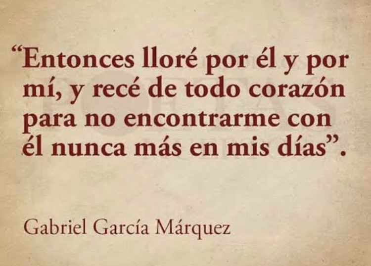 monavasa's tweet photo. Nunca más 🐾 https://t.co/OVbyQfovjf