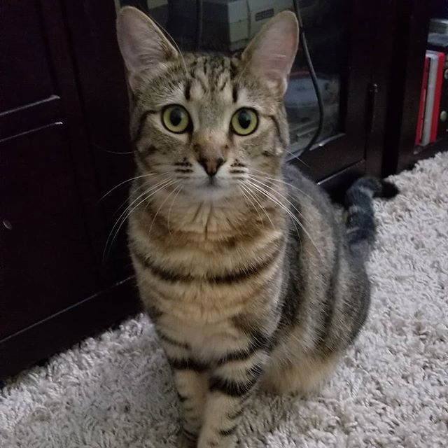 One year ago today I met this cutie. Thanks @gravoisgreens ! bit.ly/2JUrJBu