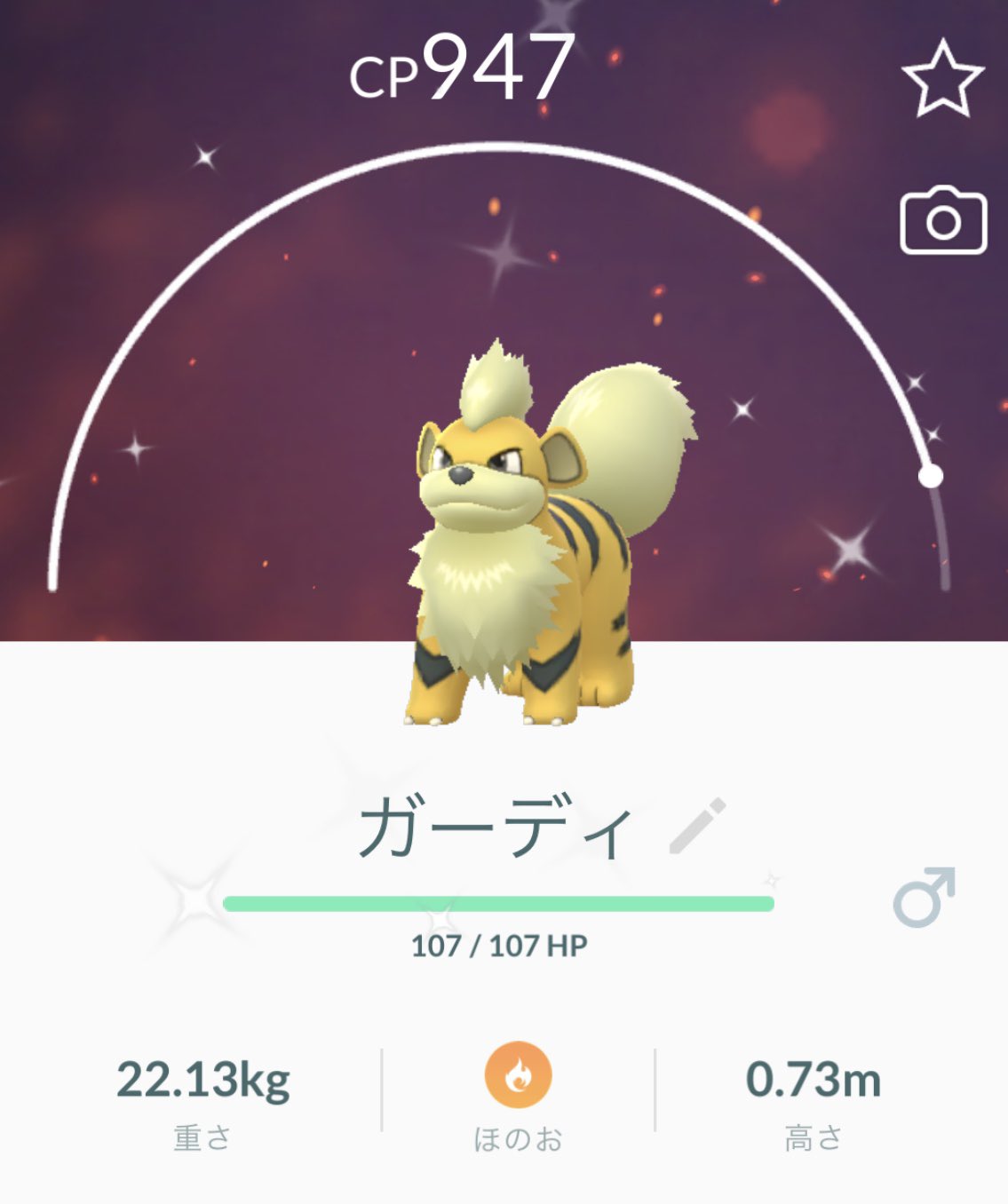 公式 クツのクロダ いなべ市 行った帰りにブラブラしてたらな 色違い の ガーディ が W これはすぐさま 色違いガーディ を 色違いウインディ に進化しなければいけないと考えて実行 ウインディ もなかなか好き なかなかいなかったから