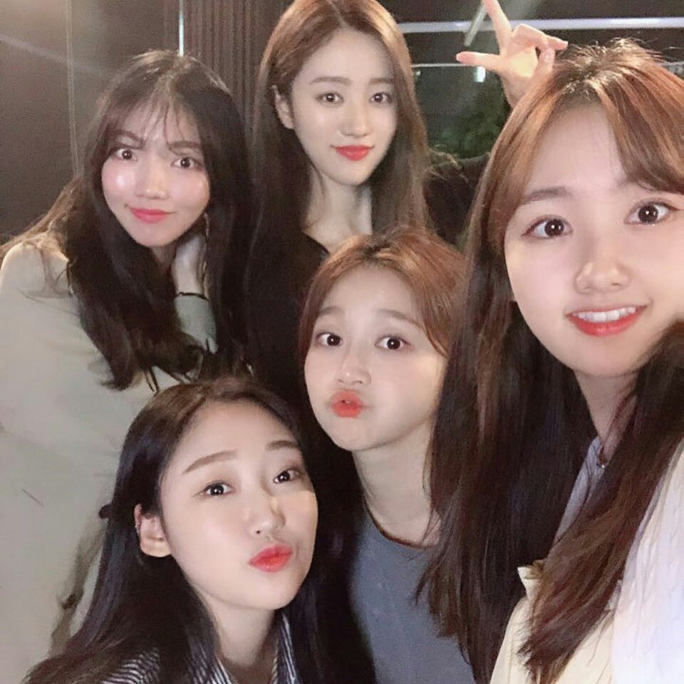gowoondata's tweet photo. [SNS] 20190530 Cherry Berry (formerly Guume of VIVIDIVA) Instagram Update with Gowoon and the former members of VIVIDIVA💗

#SHASHA #Gowoon
#샤샤 #고운 #정고운 
#VIVIDIVA #비비디바 https://t.co/kUYPYXs5Hp