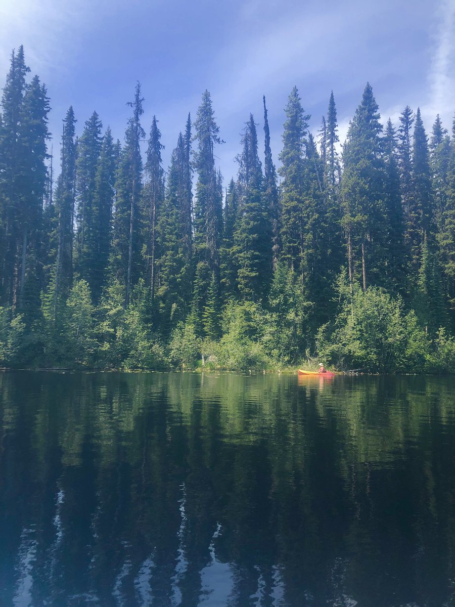 jenndbic's tweet photo. The natural beauty of BC! #DeeLake #kayaking #notevensummeryet #perfectday #exploring https://t.co/fqstLTqGyb