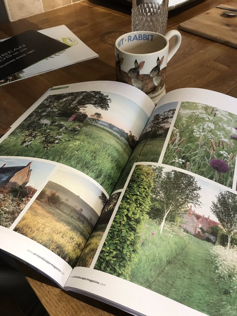 Loving the new feel to the <a href="/ProLandscaperUK/">Pro Landscaper</a> whilst having me tea before work 👌🏻💚