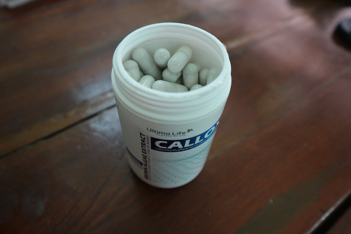 2915Aomam's tweet image. กระเพราะไก่ไข่ดาว 1จาน ต้องวิ่งถึง 10 กิโล 😮
 
บอกเลยตรงนี้ !! อิปี้จะบ่ะทน 😂😂

เริ่มต้นสิ่งดีๆอีกครั้ง CALLOX
    จำพุงตัวเองในวันนี้...แล้วเจอกัน !! 

#CALLOX
#UTMproject 
#UltimalifeByDOD