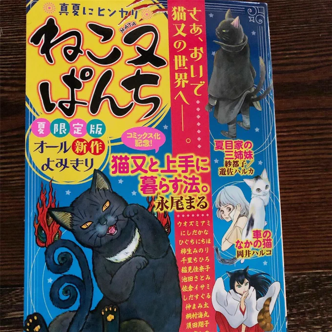 本日発売のねこぱんち夏限定版に描かせていただきました。
猫又のひんやりするお話の中、怖いの苦手な私は楽しい感じに描いてみちゃいました。
よろしかったら読んでみてくださいませ〜 