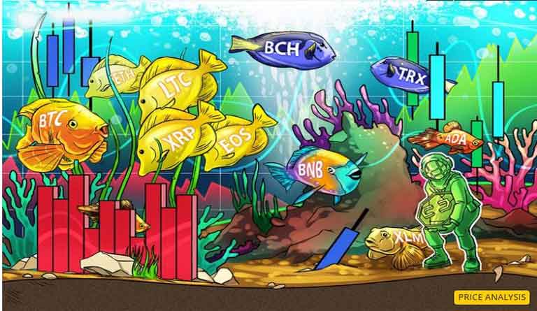 CoinTiko tweet media