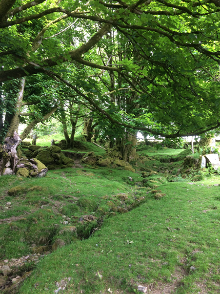 KewishJenny's tweet image. #GreatDevonDays #visitdevon #LoveDevon #Photohour #Dartmoor On the path from Down Tor to Sheeps Tor
