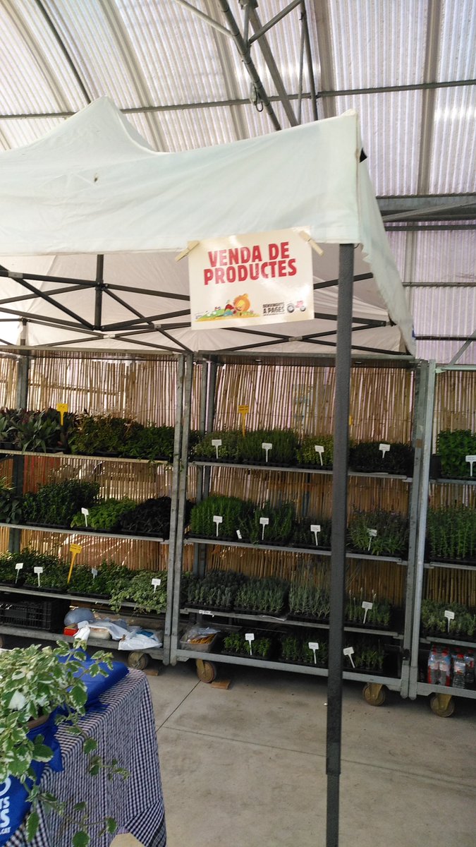 ProductesSelva's tweet photo. Fantàstica visita guiada aquest cap de setmana a l'Espai Can Mir de Riudarenes a @comarcaselva durant #BenvingutsaPagès19!
#Selva #Localitza #producteslocals https://t.co/uwb5cJG6TW