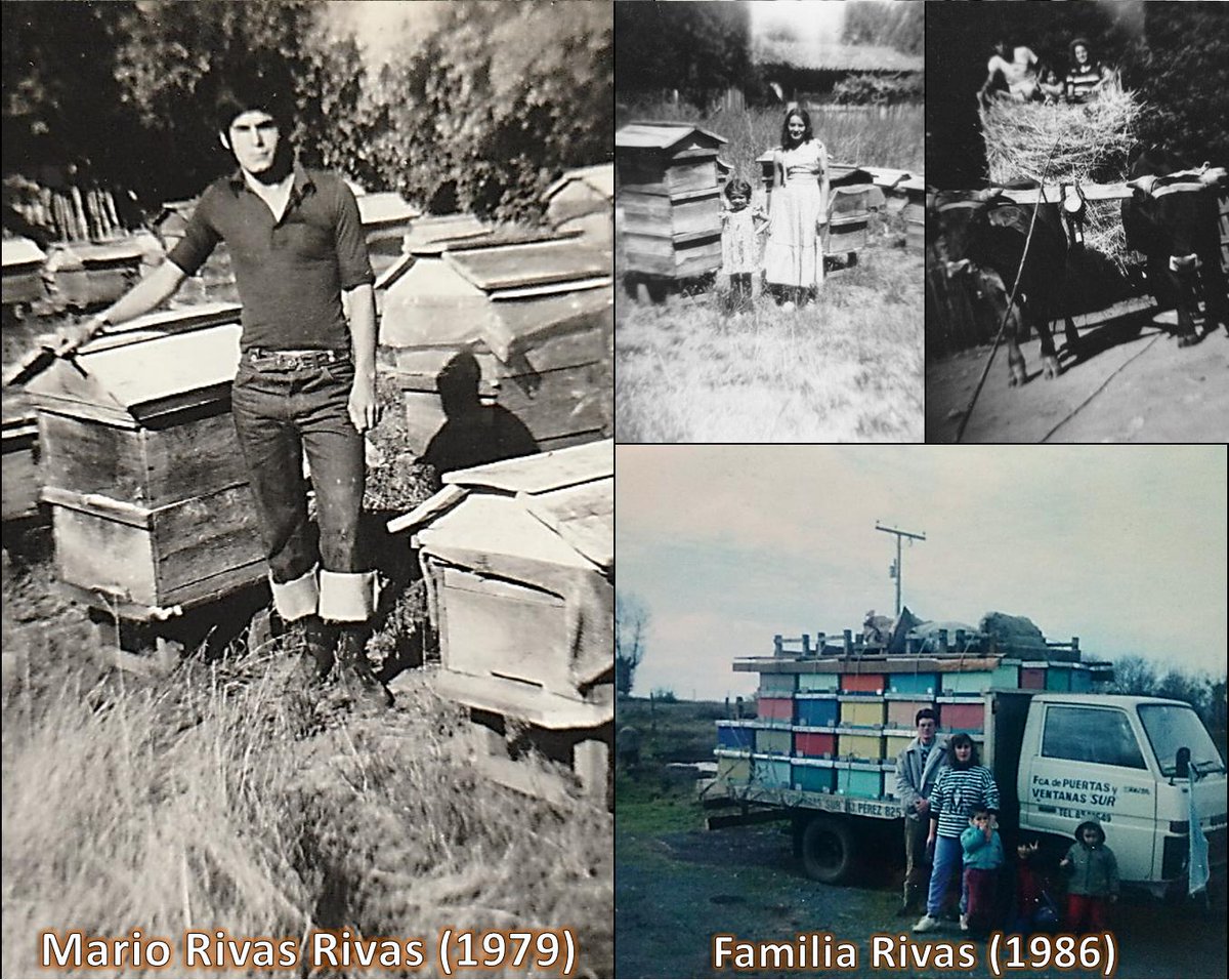ApiRivas's tweet photo. 💯 Centenario #ApiRivas: Tradición familiar con un siglo dedicado a la #Apicultura 🐝🍯
📷Te invitamos a conocer nuestra historia #apícola que comenzó un 21 de junio de 1919 🕰️ https://t.co/35kFGpsG37 https://t.co/7Z1N4QtMF1