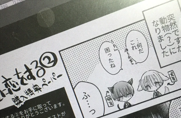 購入特典ペーパーを配布していただきます～!配布店舗一覧https://t.co/nUt78oWSUB 
