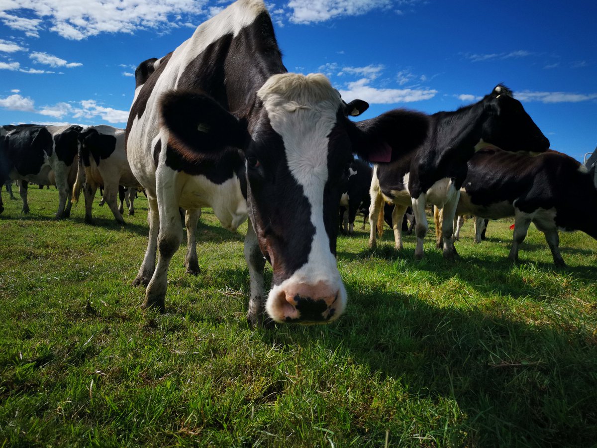 Kara Marsden tweet media