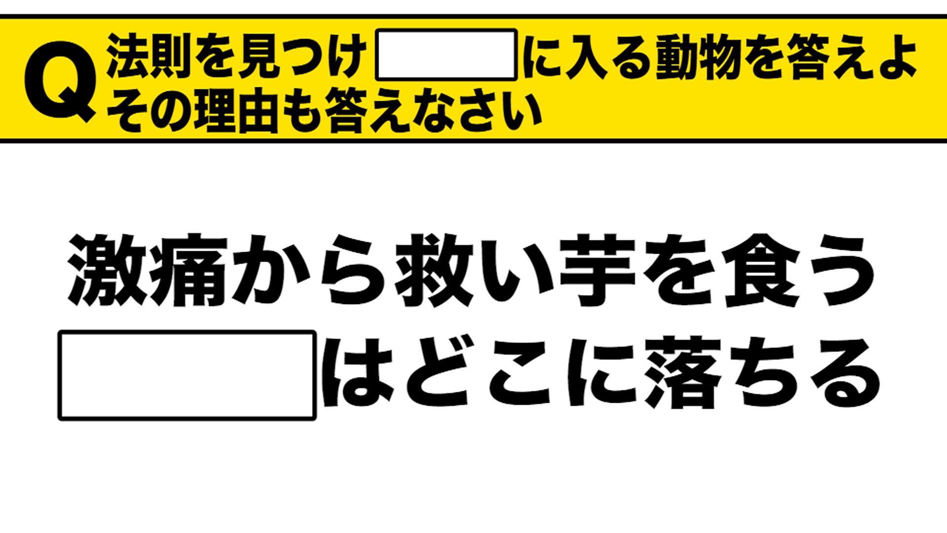 柏木由紀 第7問 制限時間15分 なぞなぞ系かな 理由もお願いします このあとすぐにヒントも発表します ネ申 テレビ T Co Vxrrzs4ehy Twitter
