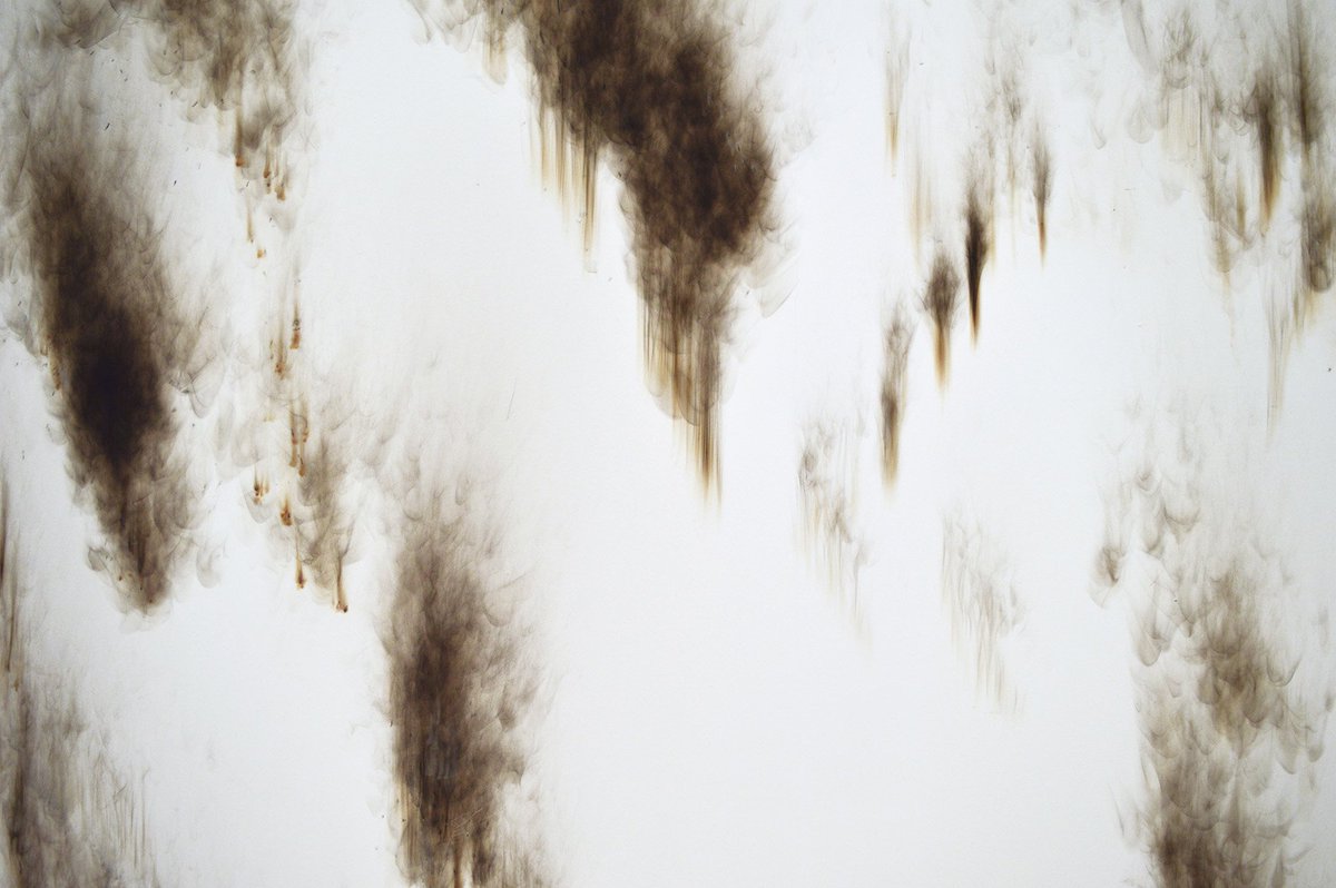 Laur_Santamaria's tweet photo. Turning Invisible In-conversation event con ospiti: giovedì 6 giugno, dalle 18.00 alle 20.00 Laboratorio con artisti invitati: venerdì 7 giugno, dalle 10.00 – 17.00 a cura di Laura Santamaria, modera Giulio Verago - Archivio Viafarini Via G. C. Procaccini, 4 Milano https://t.co/rBgmgtvZ8r