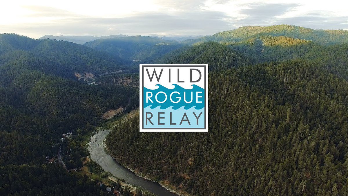oregonsportnews's tweet photo. Our @mother_spruce is undertrained and overwhelmed for the @WildRogueRelay . But who cares?! #wildroguerelay #running https://t.co/4gCKtIoe7M https://t.co/cJTtsSYSsC