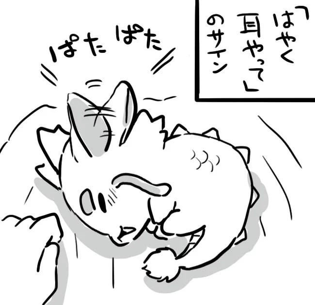きっといつもこんなかんじ 