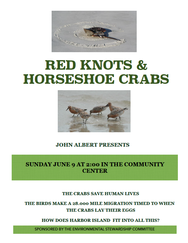 IslandManager's tweet image. This Sunday June 9th at 2:00 pm in the Community Center, John Albert will be speaking on Red Knots and Horseshoe Crabs