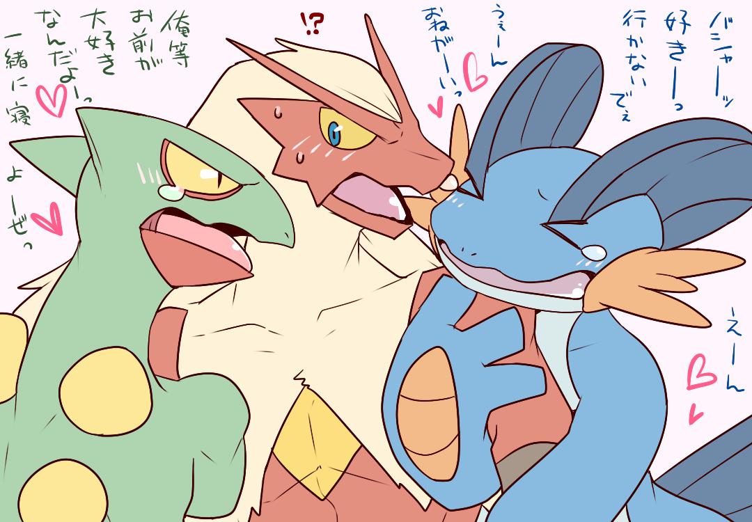 愛されバシャーモ ホウエン御三家